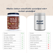 สูตรใหม่! โปรตีนพืช รส ช็อกโกเเลต 1 กระปุก Plant Protein French Chocolate