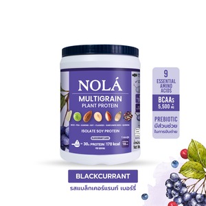 สูตรใหม่! โปรตีนพืช รสแบล็คเคอแร้นท์ 1 กระปุก Plant Protein Blackcurrant