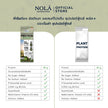 [Trial Set No Box] NOLÁ Superfoods โนล่า โปรตีนพืช รส มัทฉะ กรีนที แบบซอง