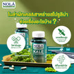 ผักเคลและสาหร่ายสไปรูลิน่า 60 วีแคป Organic Kale & Spirulina