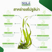 ผักเคลและสาหร่ายสไปรูลิน่า 60 วีแคป Organic Kale & Spirulina