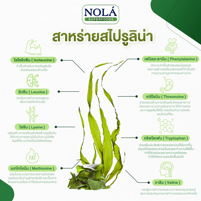 ผักเคลและสาหร่ายสไปรูลิน่า 60 วีแคป Organic Kale & Spirulina
