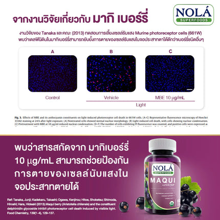 มากิเบอร์รี่ 60 V-caps ปกป้องดวงตา แบรนด์ โนล่า ซุปเปอร์ฟู้ดส์ freeze dried Maqui berry