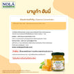 พร้อมดื่ม มานูก้า ฮันนี่ 12 ขวด แบรนด์ โนล่า ซุปเปอร์ฟู้ดส์ Manuka Drink