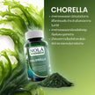 โนล่า ซุปเปอร์ฟู้ดส์ (Chlorella) 30 V-Capsule คลอเรลล่าออร์แกนิค คลอโรฟิลล์สูง